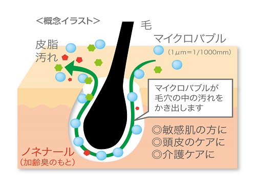 毛穴イラスト文字あり